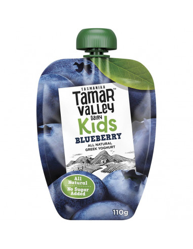 Tamar Valley Dairy Kids Blueberry Yoghurt Pouch 110g